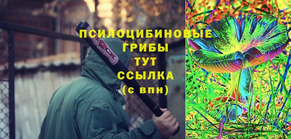 гидра Алзамай